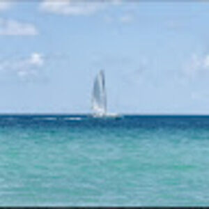 Meet your Posher, Elena